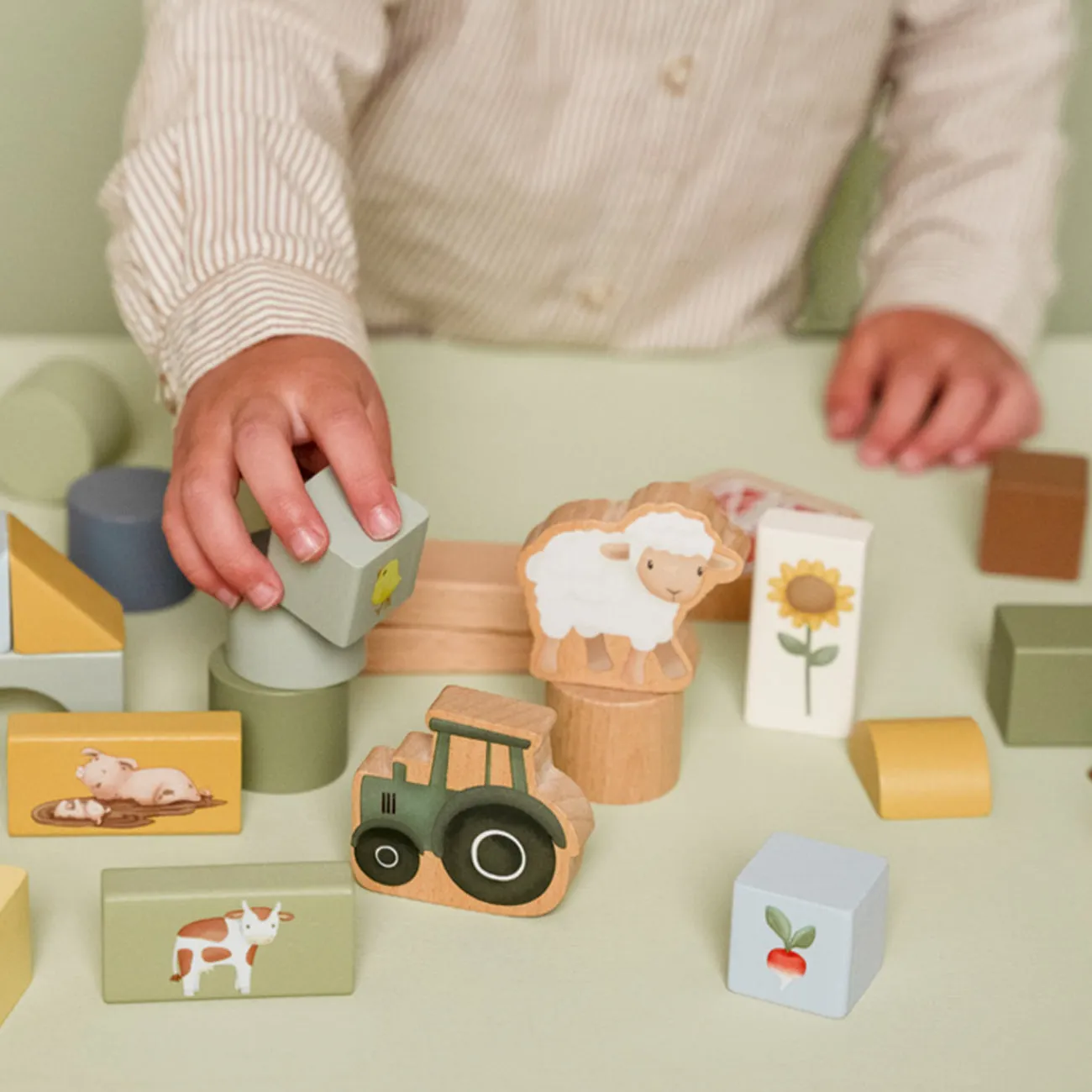 Little Farm Building Blocks